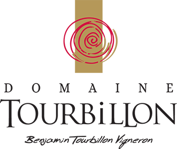 Domaine Tourbillon - Benjamin Tourbillon, vigneron récoltant