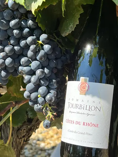 Côte du rhône 
Rotwein
