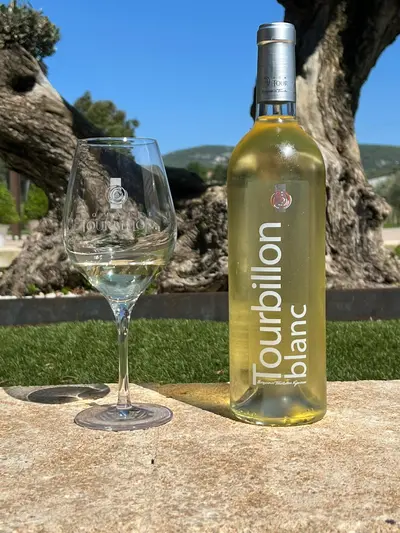 EVG & EVJF festifs dans le Luberon : vivez une dégustation inoubliable au Domaine Tourbillon