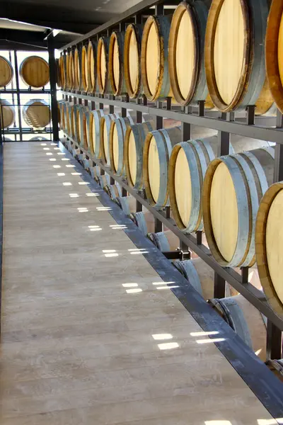 Weinverkostung im Luberon am Sonntag in der Domaine Tourbillon