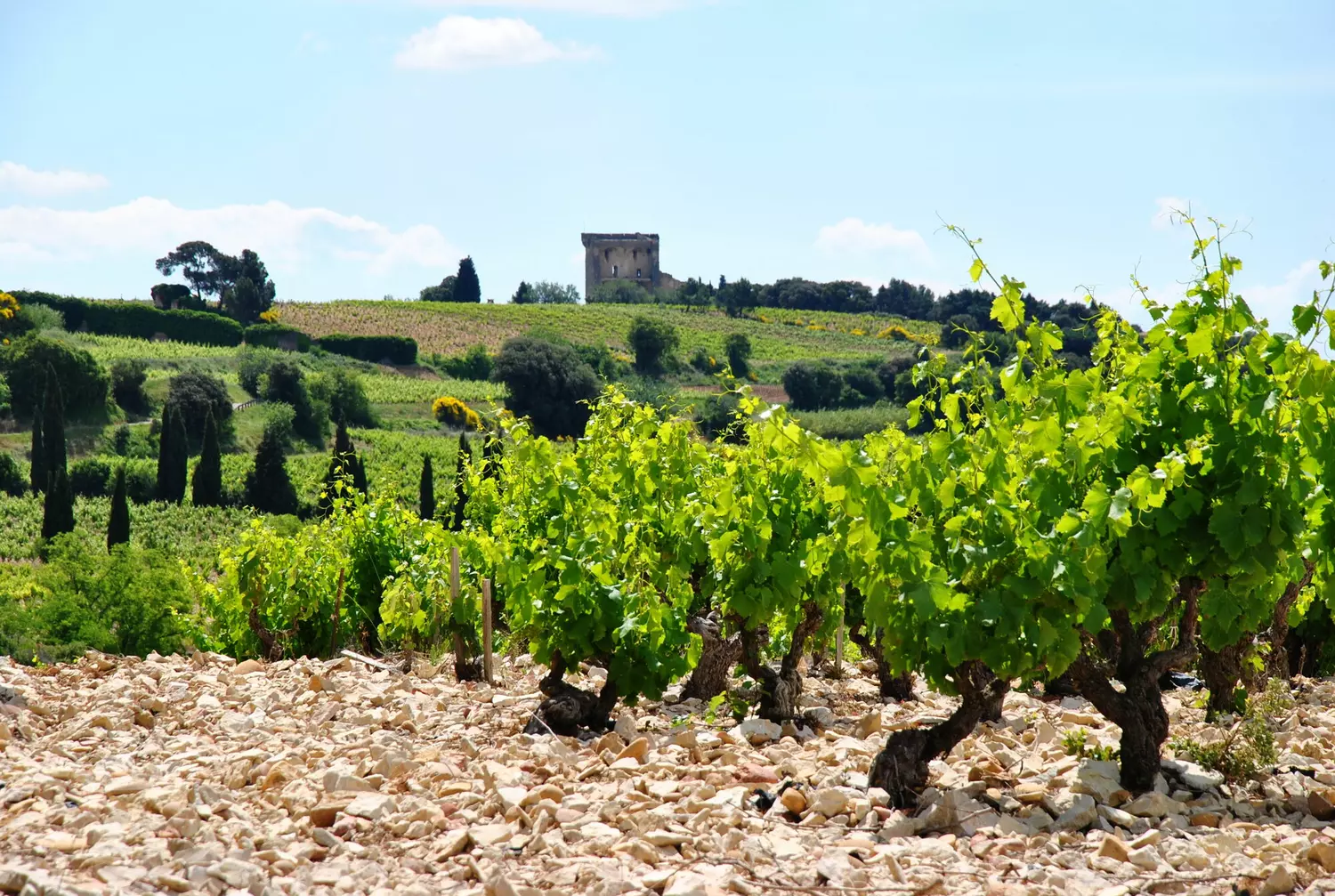 Châteauneuf-du-Pape